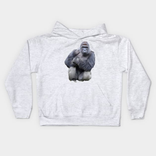 Harambe Kids Hoodie by FlashmanBiscuit